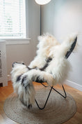 Load image into Gallery viewer, Genuine XXL Icelandic Sheepskin Rug – Real Natural Wool - Cream and black - 140cm x 80cm - 104