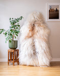 Load image into Gallery viewer, Icelandic Sheepskin Rug – Real Natural Long Wool – XXL – Ginger & Cream – 150cm x 90cm - 938