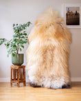 Load image into Gallery viewer, Cream and Ginger XXL Icelandic Sheepskin Rug – Real Natural Wool - 150cm x 90cm - 940