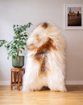 Load image into Gallery viewer, Genuine XL Icelandic Sheepskin Rug – Real Natural Wool - Cream and Brown - 130cm x 80cm - 943