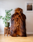 Load image into Gallery viewer, Genuine XXL Icelandic Sheepskin Rug โ Real Natural Wool - Ginger and Brown - 130cm x 80cm - 953