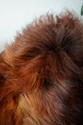 Load image into Gallery viewer, Genuine XXL Icelandic Sheepskin Rug – Real Natural Wool - Ginger - 140cm x 80cm - 102