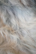 Load image into Gallery viewer, Cream, Grey, Ginger XXL Icelandic Sheepskin Rug – Real Natural Wool - 150cm x 90cm - 105