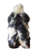 Load image into Gallery viewer, Icelandic sheepskin rug XXL - black, cream, 723