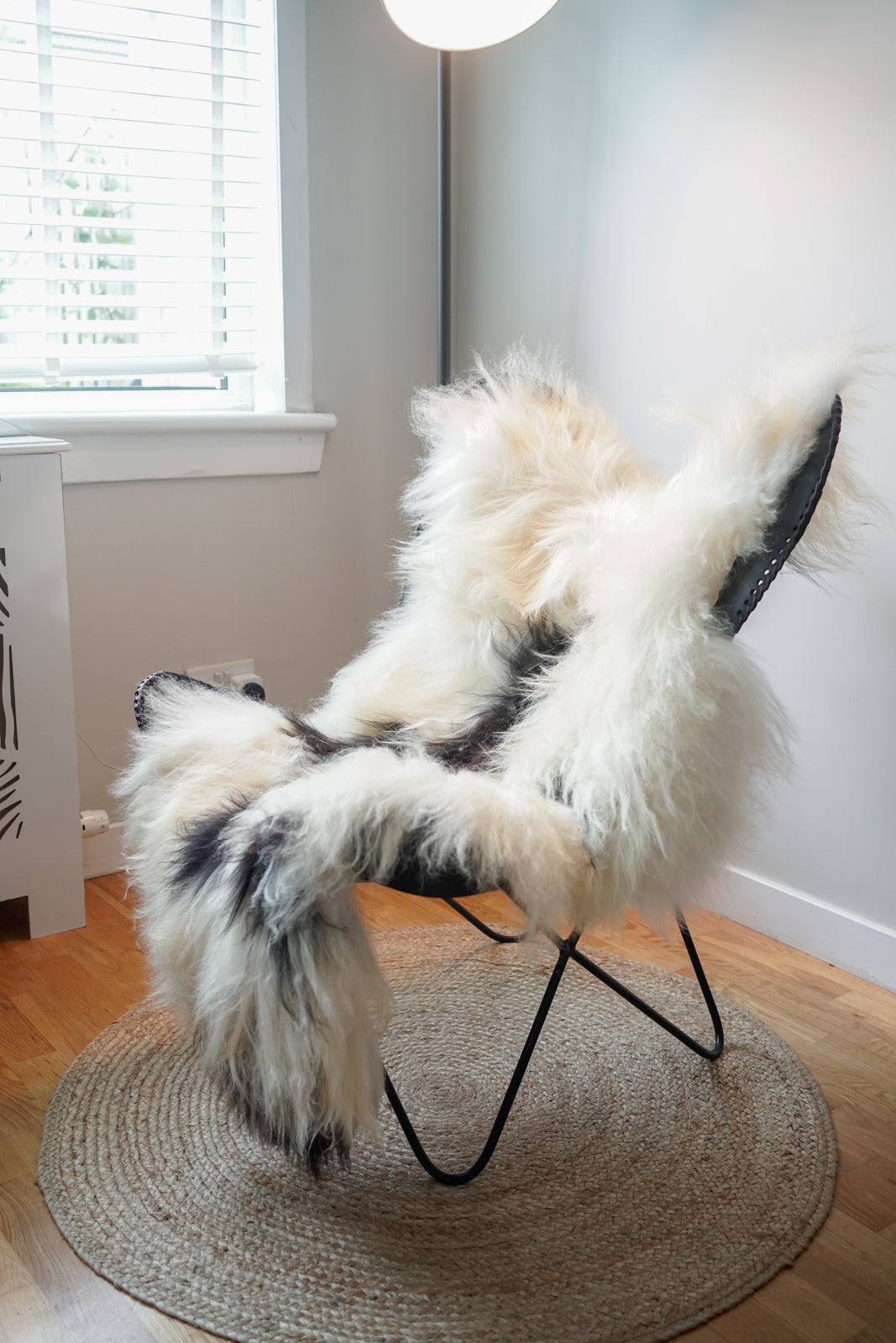 Genuine XXL Icelandic Sheepskin Rug – Real Natural Wool - Cream and black - 140cm x 80cm - 104