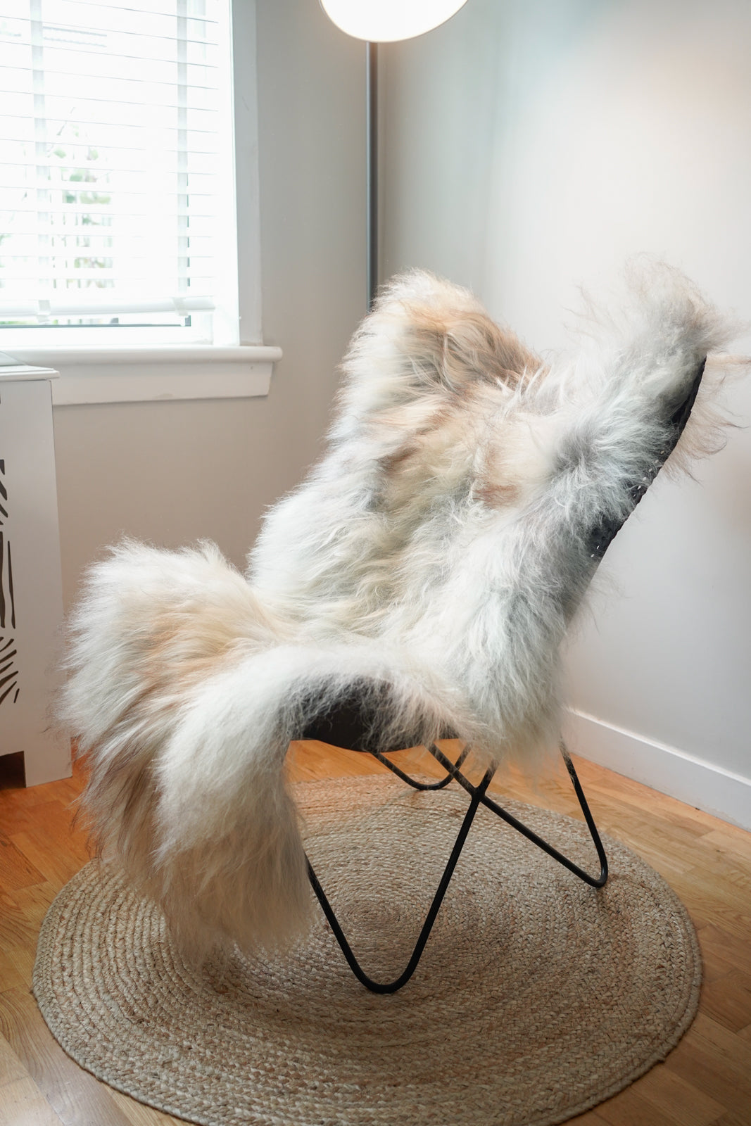 Cream, Grey, Ginger XXL Icelandic Sheepskin Rug – Real Natural Wool - 150cm x 90cm - 105