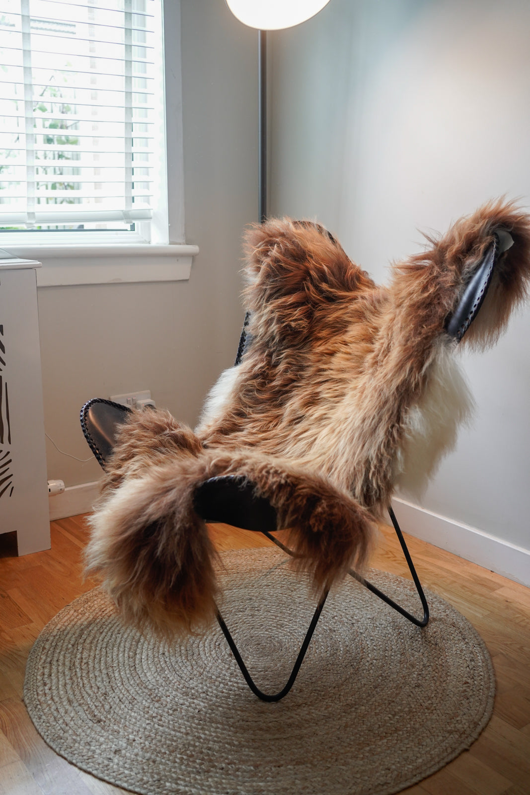 Genuine XXL Icelandic Sheepskin Rug – Real Natural Wool - Cream and Brown - 130cm x 80cm - 106