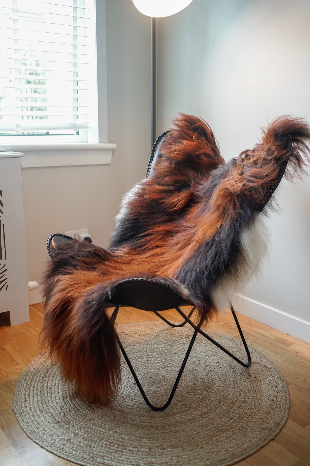 Genuine XXL Icelandic Sheepskin Rug – Real Natural Wool - Ginger and Brown, cream - 140cm x 80cm - 107