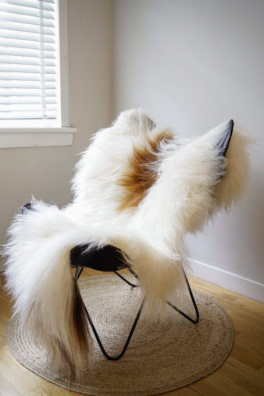 Icelandic Sheepskin Rug – Real Natural Long Wool – XXL – Ginger & Cream – 136 - 150cm x90cm