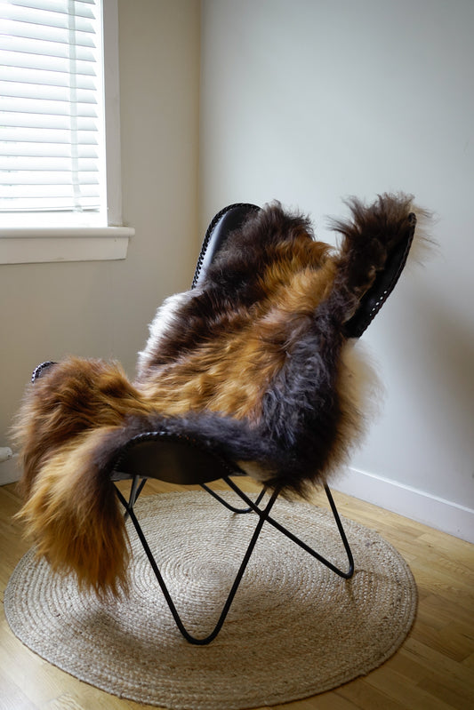 Genuine XXL Icelandic Sheepskin Rug – Real Natural Wool - Ginger and Brown, cream - 130cm x 80cm - 143