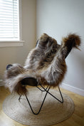 Load image into Gallery viewer, Genuine XXL Icelandic Sheepskin Rug – Real Natural Wool - Cream, Gray and Brown - 120cm x 90cm - 147
