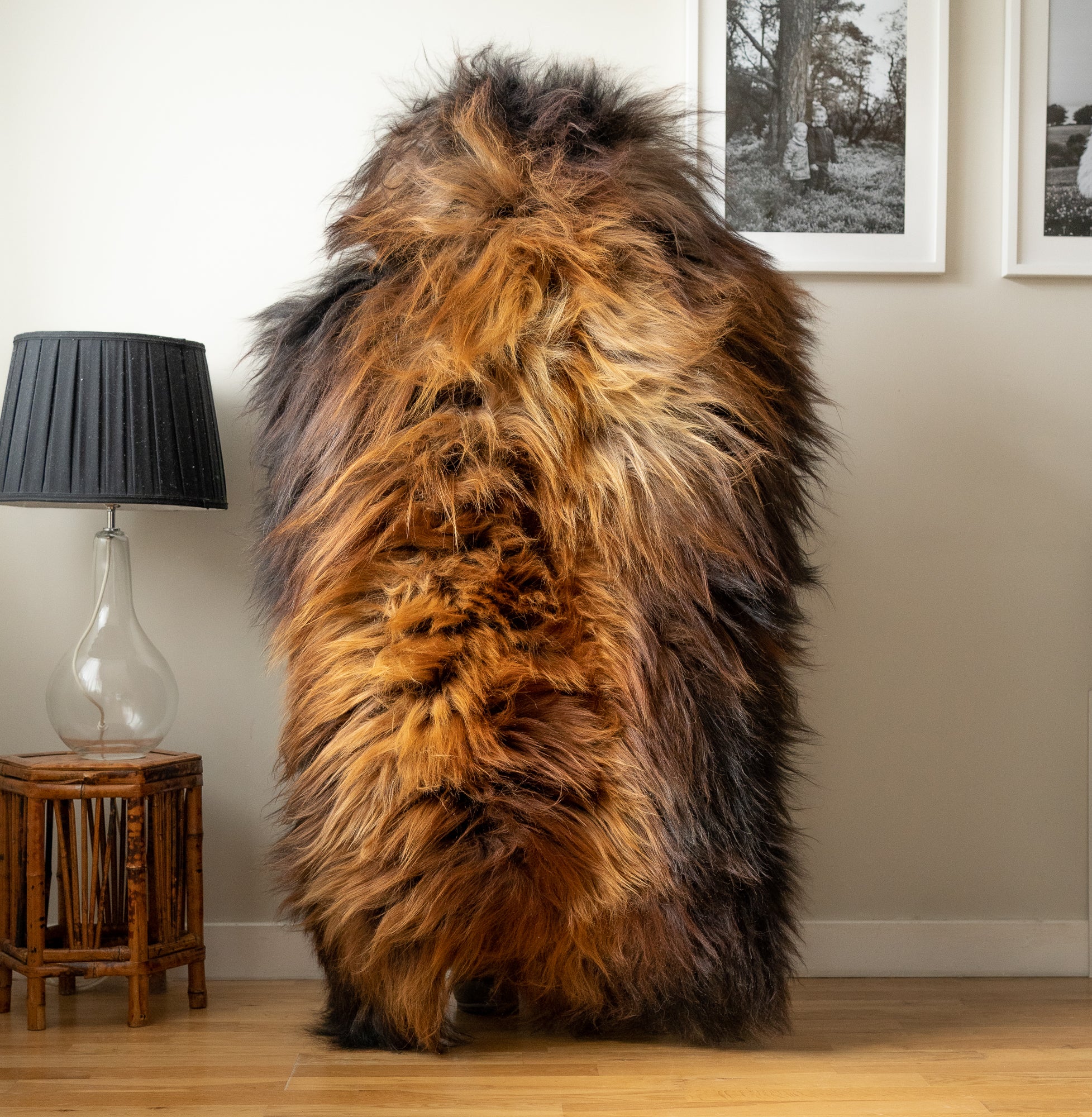 Icelandic sheepskin rug XL - ginger, light brown, 328