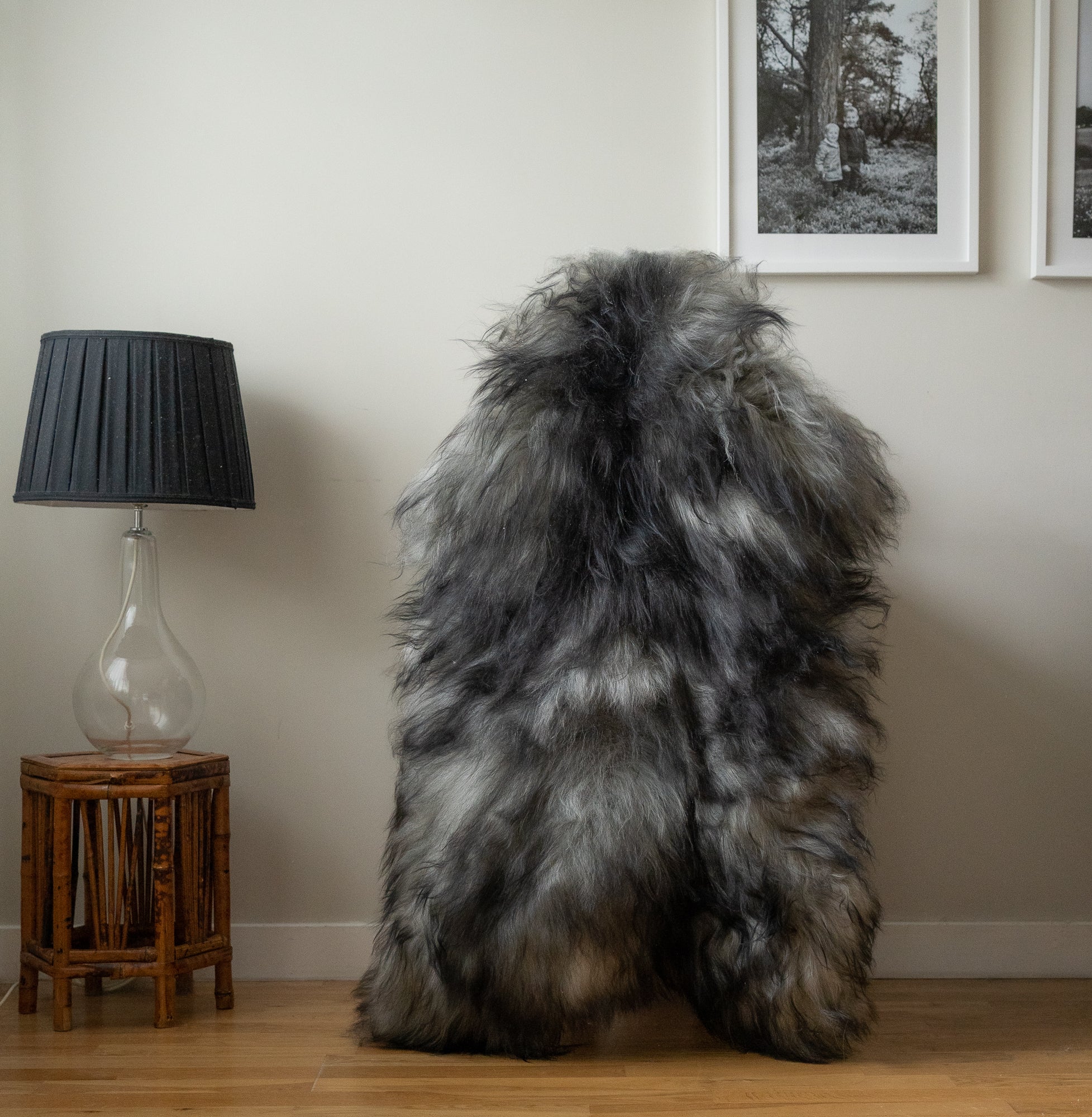 Large Natural Icelandic sheepskin rug, throw, dark grey, 359