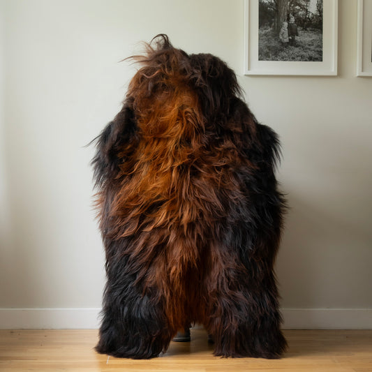 Icelandic sheepskin rug XL - ginger, brown, black, 69