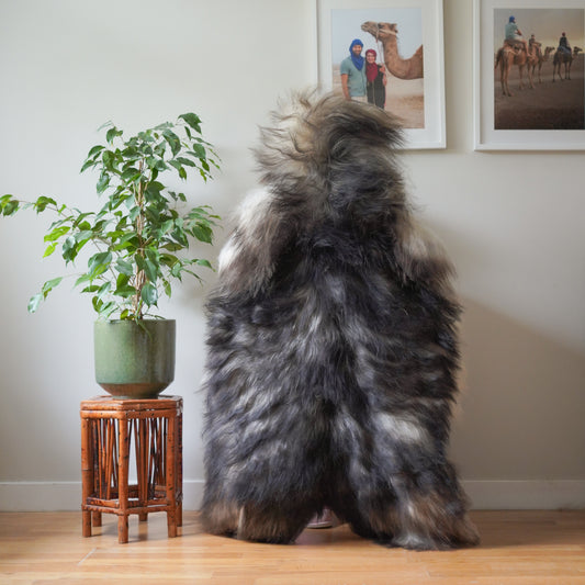 Icelandic sheepskin rug XXL - dark grey, cream, 722