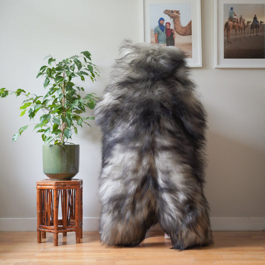 Icelandic sheepskin rug XXL - cream, grey,  736