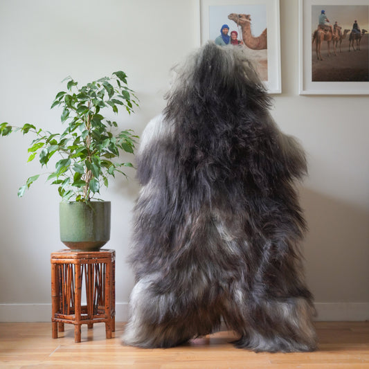 Icelandic sheepskin rug XXL - dark grey,  737