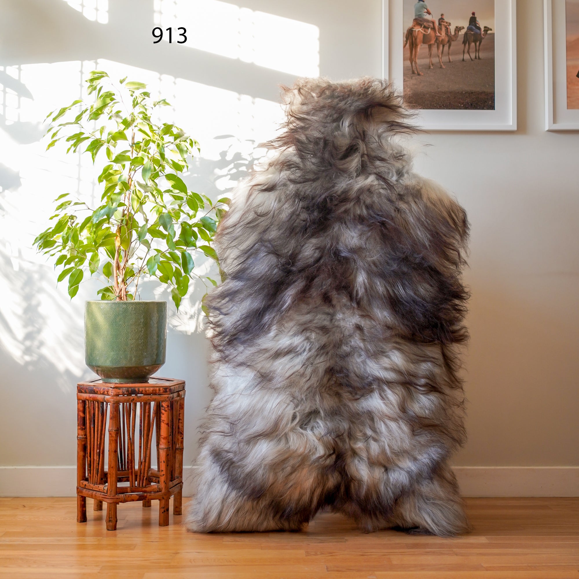 Icelandic Sheepskin Rug – Real Natural Long Wool – XXL – Grey & Cream – 913