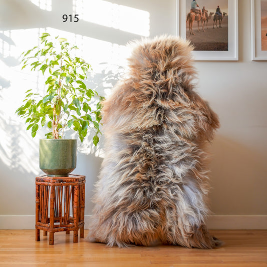 Icelandic Sheepskin Rug – Real Natural Long Wool – XXL – Ginger, Grey & Cream – 915