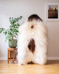 Load image into Gallery viewer, Genuine XXL Icelandic Sheepskin Rug – Real Natural Wool - Cream and Brown Spots - 140cm x 90cm - 945
