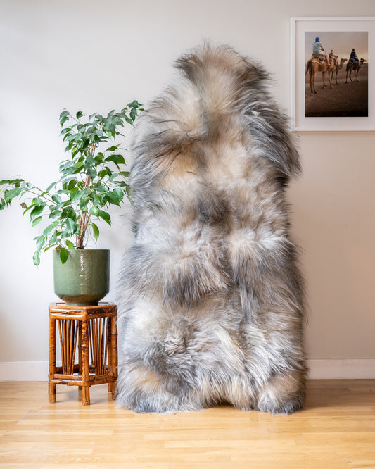 Genuine XXL Icelandic Sheepskin Rug – Real Natural Wool - Cream and Grey - 150cm x 90cm - 946
