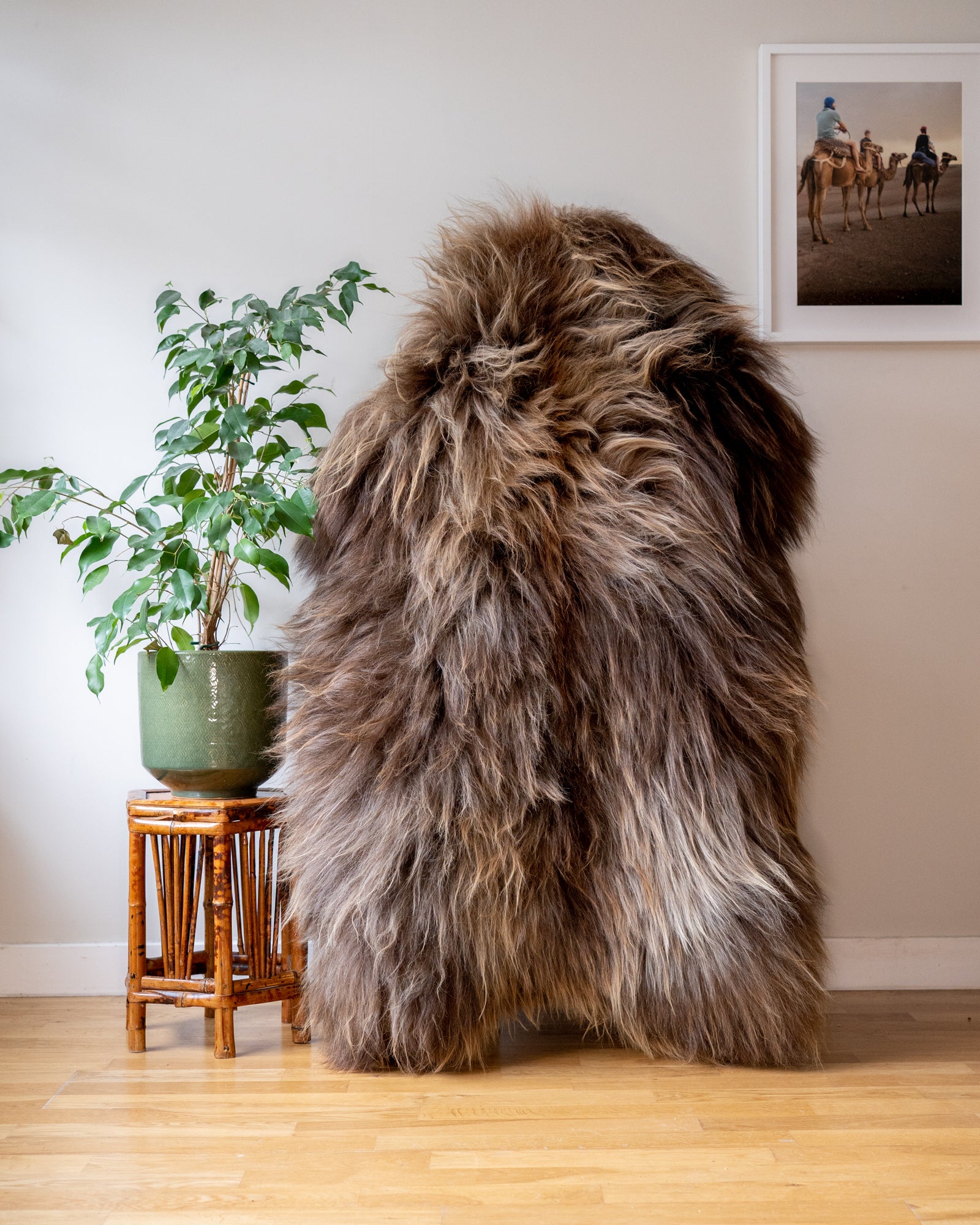 Genuine XXL Icelandic Sheepskin Rug – Real Natural Wool - Brown - 140cm x 90cm - 947