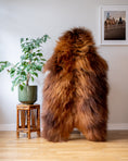 Load image into Gallery viewer, Genuine XXL Icelandic Sheepskin Rug – Real Natural Wool - Ginger - 140cm x 90cm - 951
