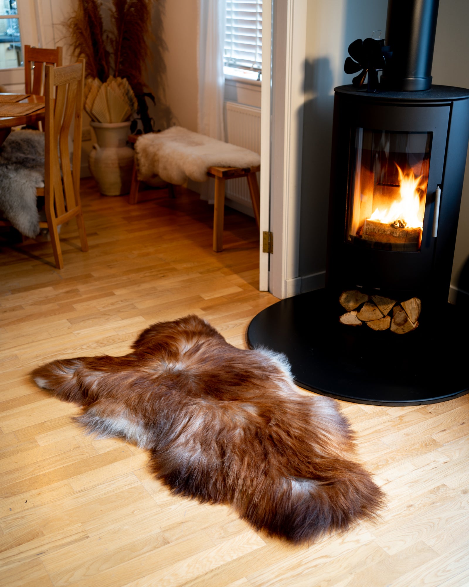 Genuine XXL Icelandic Sheepskin Rug – Real Natural Wool - Cream and Brown - 140cm x 70cm - 955