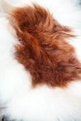 Load image into Gallery viewer, Icelandic Sheepskin Rug – Real Natural Long Wool – XXL – Ginger & Cream – 100
