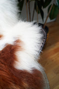 Load image into Gallery viewer, Icelandic Sheepskin Rug – Real Natural Long Wool – XXL – Ginger & Cream – 100
