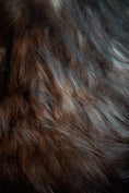 Load image into Gallery viewer, Genuine XXL Icelandic Sheepskin Rug – Real Natural Wool - Dark brown and Cream - 130cm x 90cm - 103
