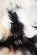 Load image into Gallery viewer, Genuine XXL Icelandic Sheepskin Rug – Real Natural Wool - Cream and black - 140cm x 80cm - 104
