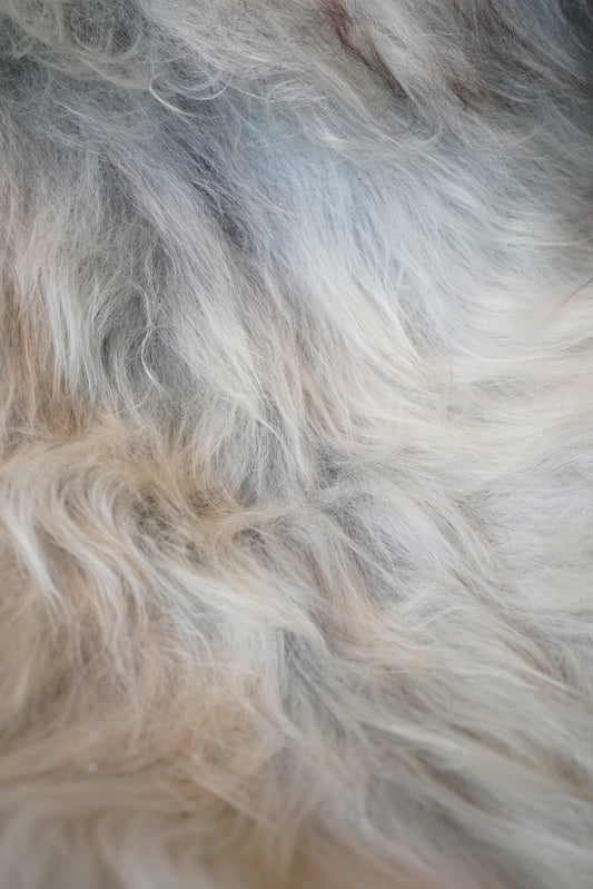 Cream, Grey, Ginger XXL Icelandic Sheepskin Rug – Real Natural Wool - 150cm x 90cm - 105