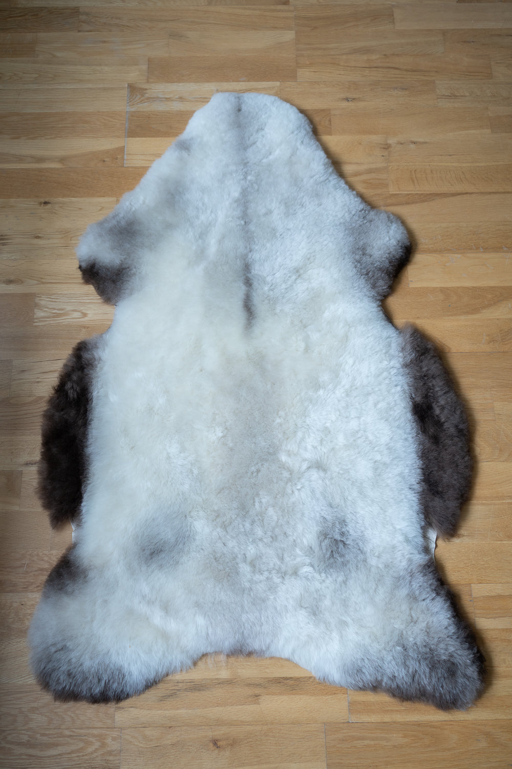 Icelandic sheepskin rug L -  brown, cream, grey,  132